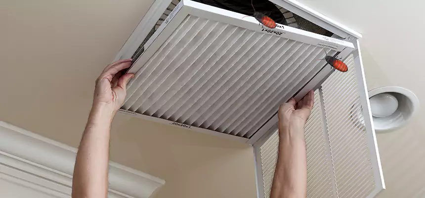 Our Insect Removal from Air Ducts Services in East Palo Alto, CA
