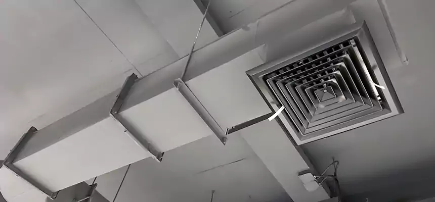 Our Pest Removal From Ducts Services in East Palo Alto, CA