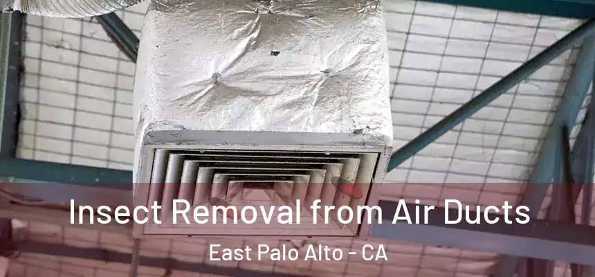  Insect Removal from Air Ducts East Palo Alto - CA