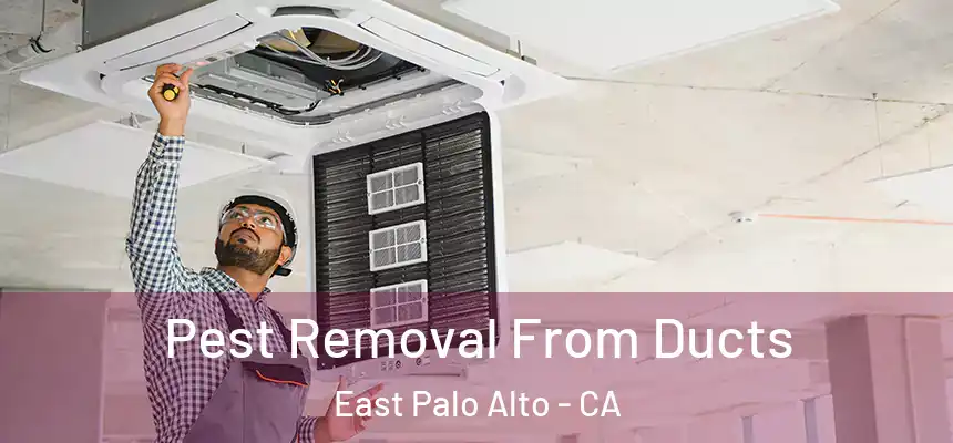  Pest Removal From Ducts East Palo Alto - CA