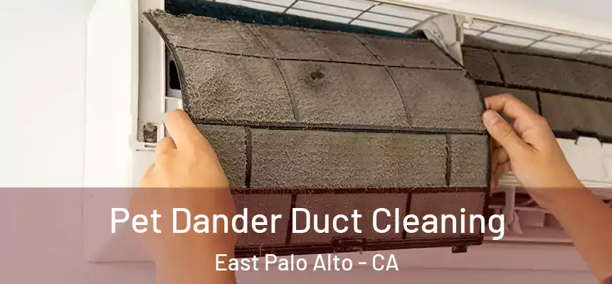  Pet Dander Duct Cleaning East Palo Alto - CA