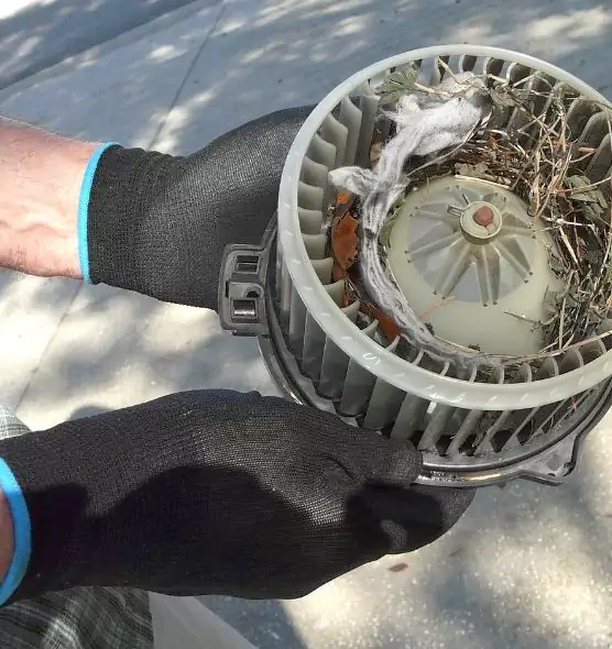 About Air Duct Mice Removal in East Palo Alto, CA