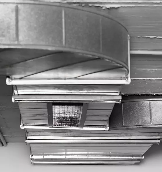 Professional Air Duct Pest Removal in East Palo Alto, CA