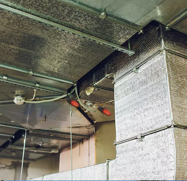 Why Homeowners & Businesses Trust Us in East Palo Alto, CA?