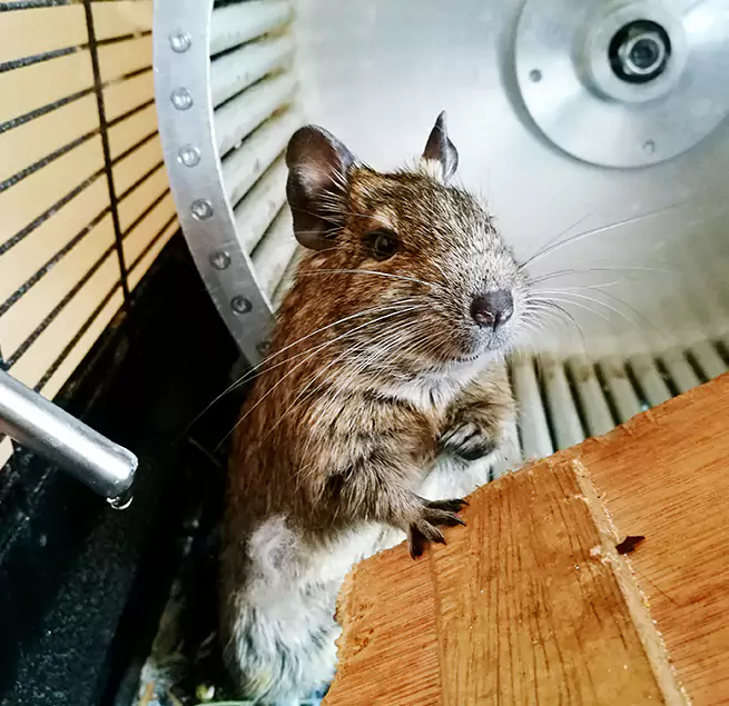 Why Homeowners & Businesses Trust Us East Palo Alto, CA?