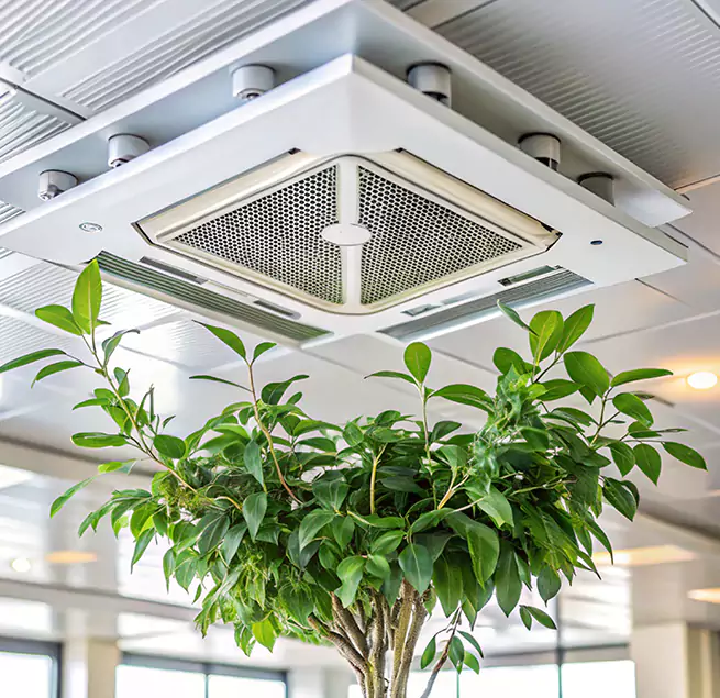 Why Homeowners & Businesses Trust Us in East Palo Alto, CA