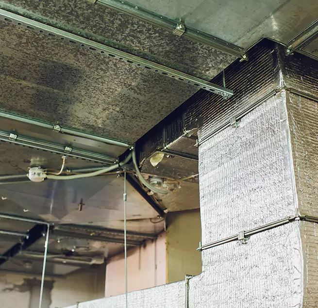 Why Homeowners & Businesses Trust Us in East Palo Alto, CA?